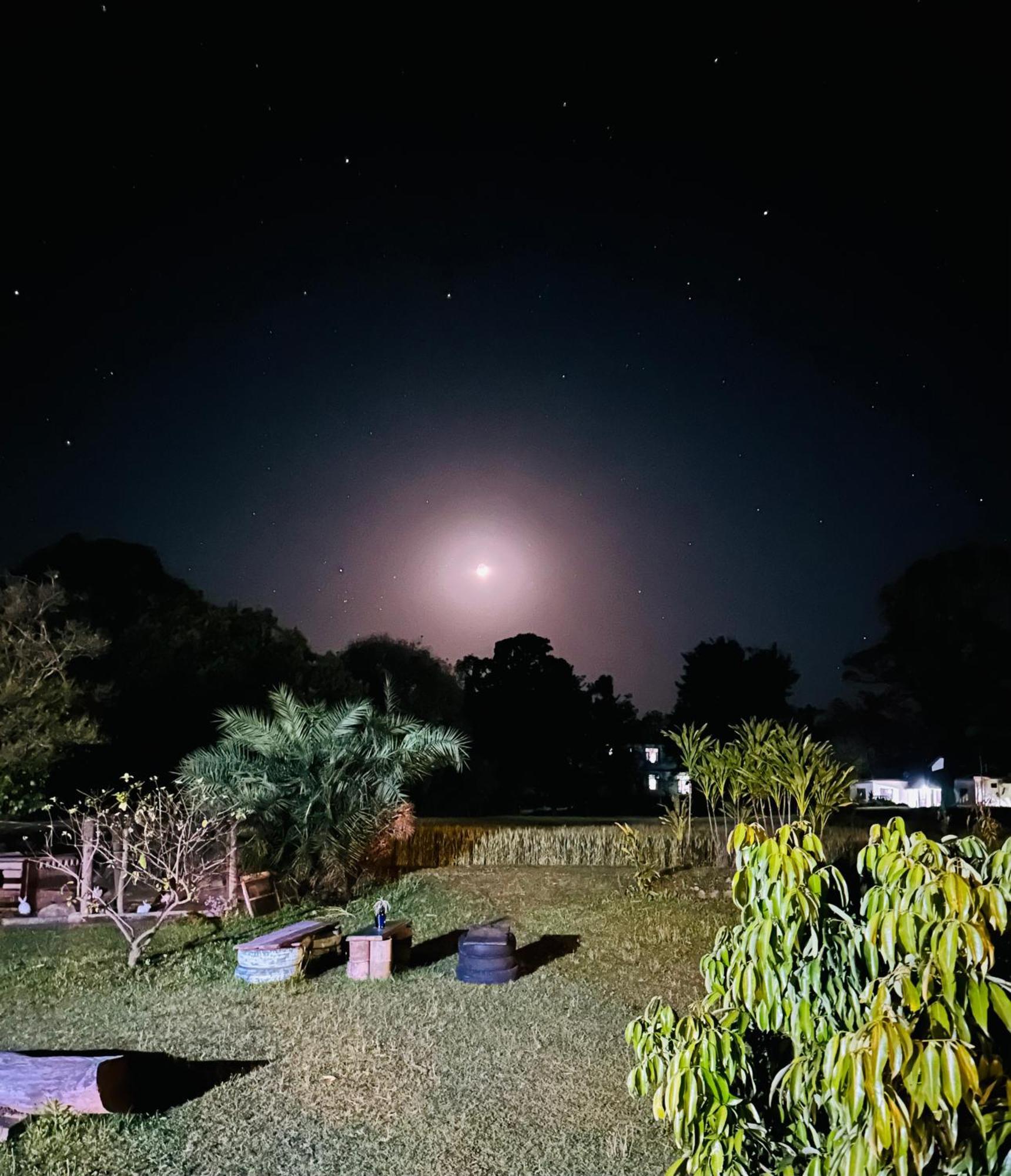 Dreamwoods A Travellers Farm Hostel ดารัมซาลา ภายนอก รูปภาพ
