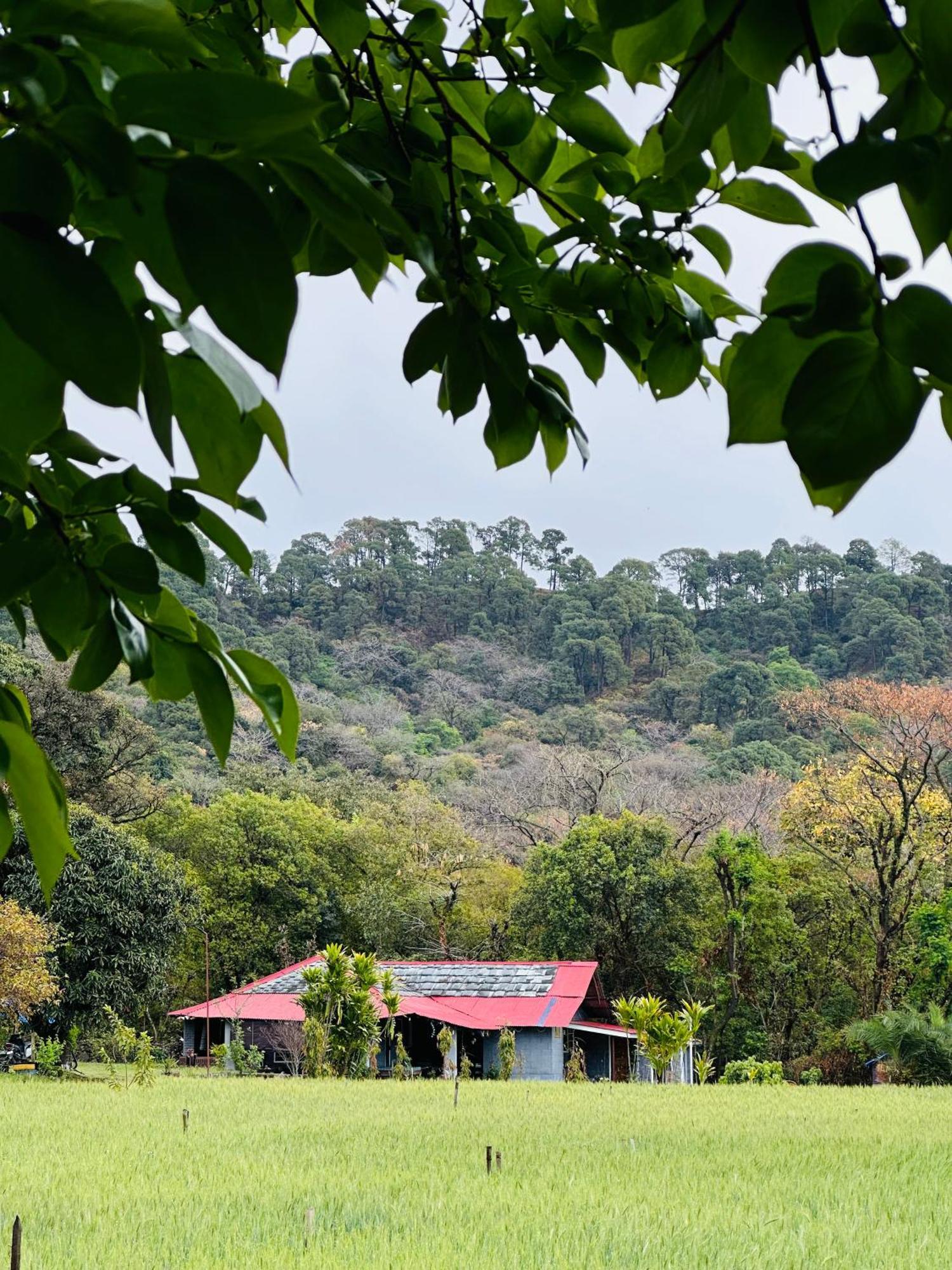 Dreamwoods A Travellers Farm Hostel ดารัมซาลา ภายนอก รูปภาพ